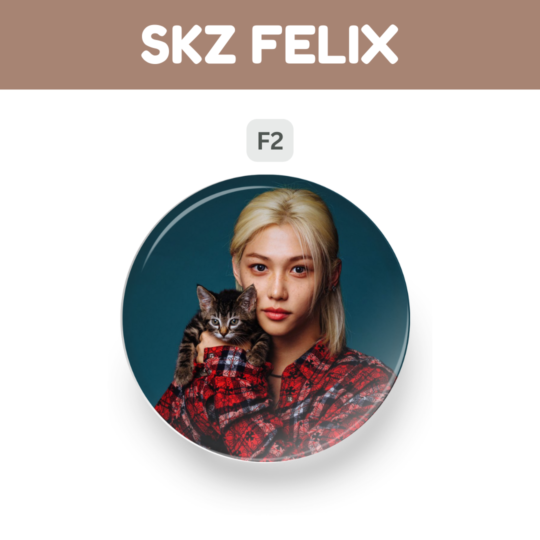 Kpop Stray Kids Felix Cute Button Pin Badge Tsuvishop Kpop badge pin Store